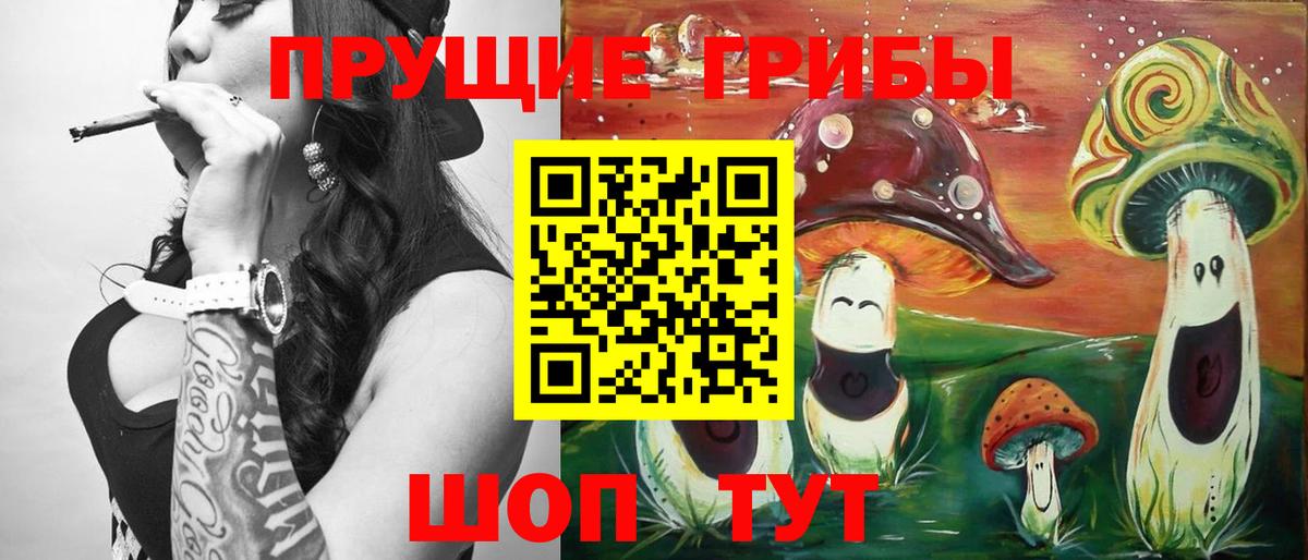 Псилоцибиновые грибы GOLDEN TEACHER  Вход с VPN  Йошкар-Ола 